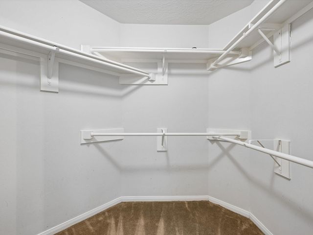 11123 Cactus Point Court, Houston, TX 77095