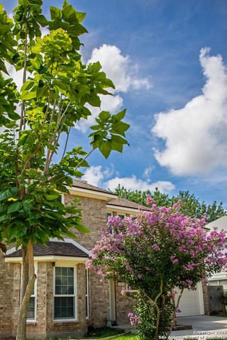 1021 Silvertree Blvd, Schertz, TX 78154