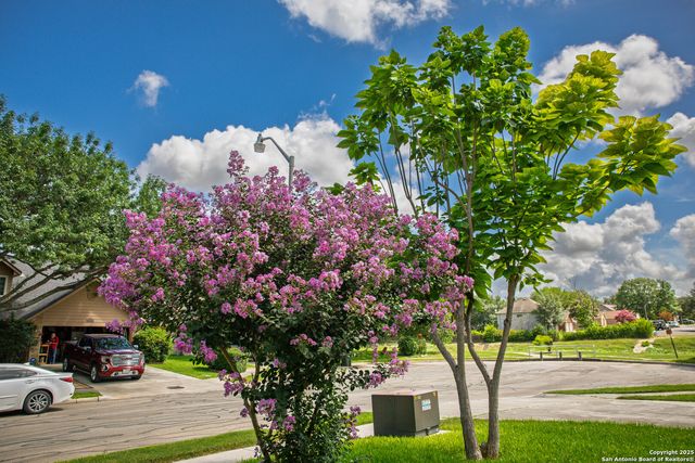 1021 Silvertree Blvd, Schertz, TX 78154