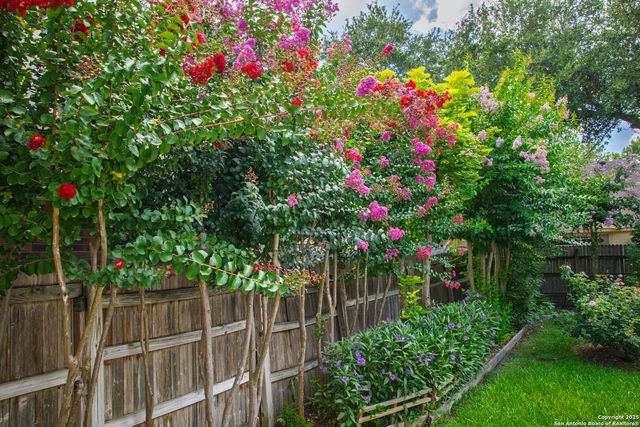 1021 Silvertree Blvd, Schertz, TX 78154