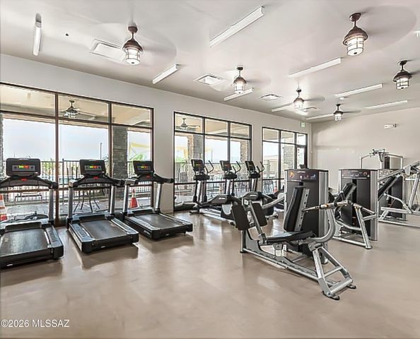 8783 Weeping Dalea Drive, Marana, AZ 85653