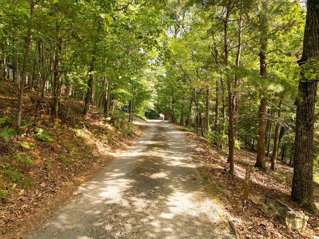244 E Lapidary Lane, Young Harris, GA 30582
