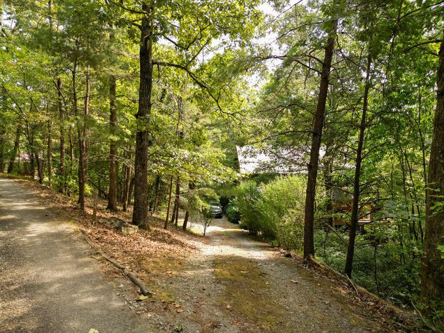 244 E Lapidary Lane, Young Harris, GA 30582