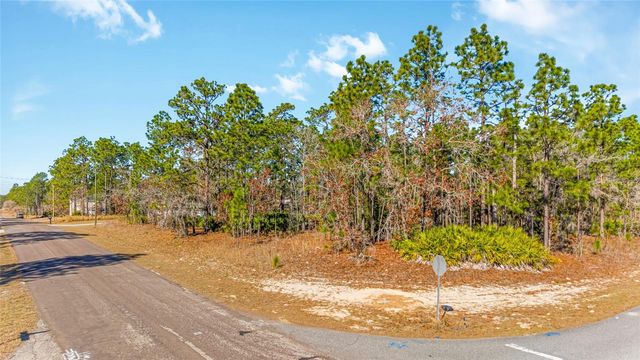 6932 N GLENRIDGE CIRCLE, Citrus Springs, FL 34434