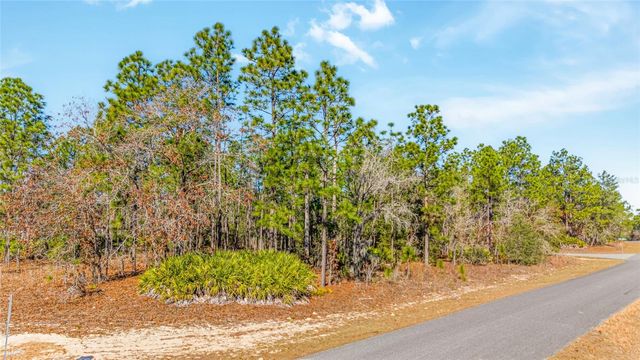 6932 N GLENRIDGE CIRCLE, Citrus Springs, FL 34434