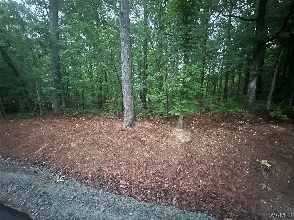 0 Crest, Mccalla, AL 35111