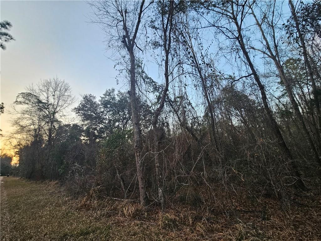 0 Lee Road, Robertsdale, AL 36567 — photo 2