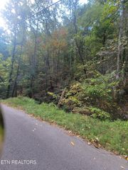 Alpine Drive, Sevierville, TN 37876