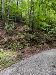 9 Indian Lake Road, Topton, NC 28781
