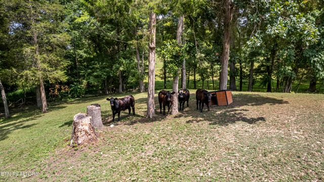 316 Red Hill Rd, Andersonville, TN 37705