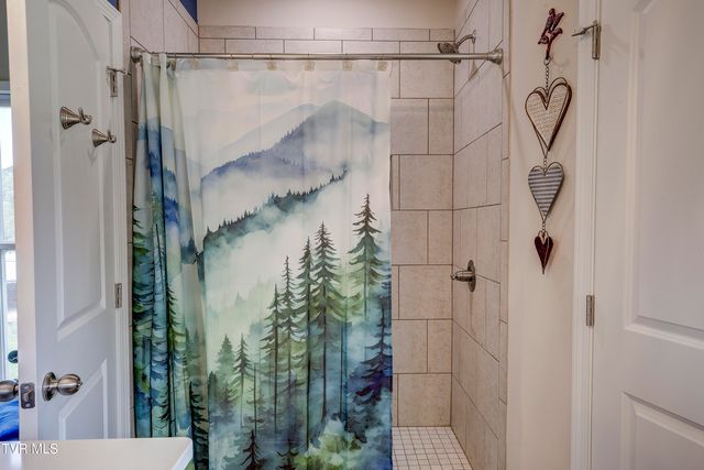 133 Ug Buckles Road, Elizabethton, TN 37643