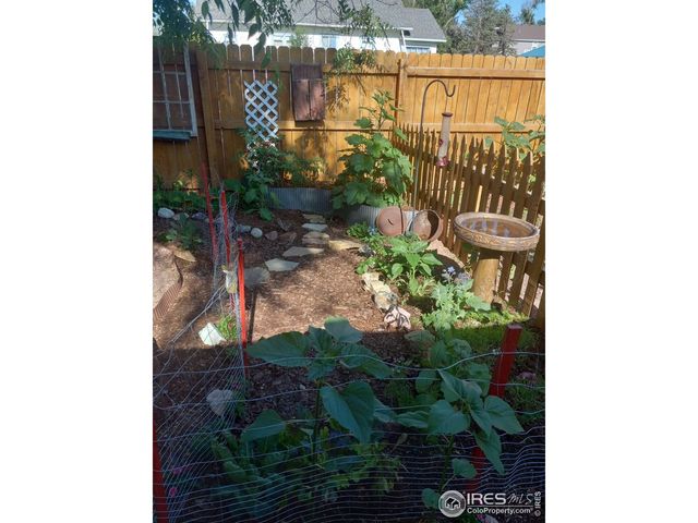 3730 Garfield Ave, Wellington, CO 80549