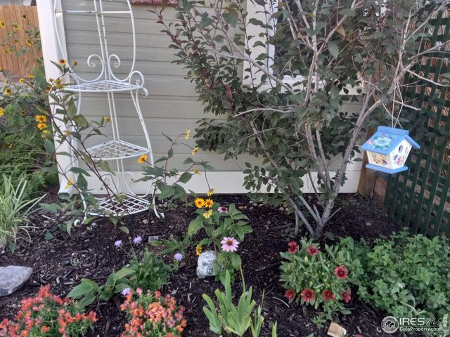 3730 Garfield Ave, Wellington, CO 80549