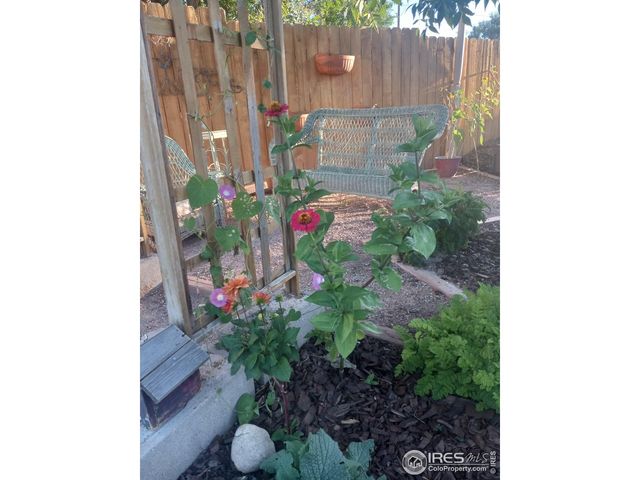 3730 Garfield Ave, Wellington, CO 80549