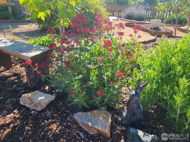 3730 Garfield Ave, Wellington, CO 80549