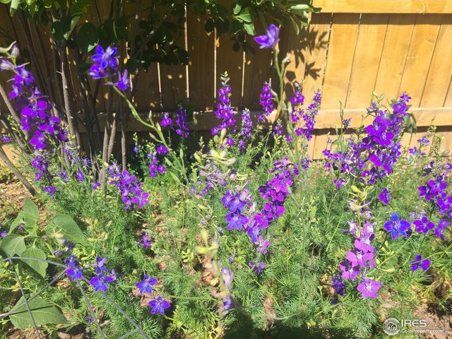 3730 Garfield Ave, Wellington, CO 80549