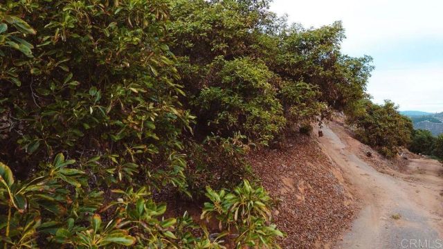 1411 Wild Acres Rd., Vista, CA 92084