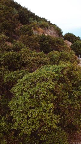 1411 Wild Acres Rd., Vista, CA 92084