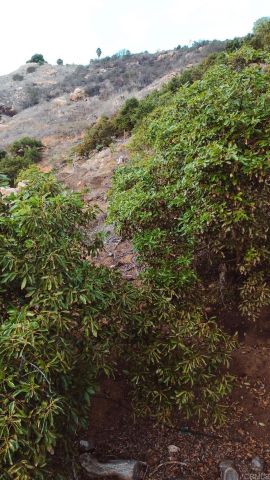 1411 Wild Acres Rd., Vista, CA 92084