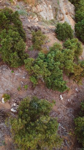 1411 Wild Acres Rd., Vista, CA 92084