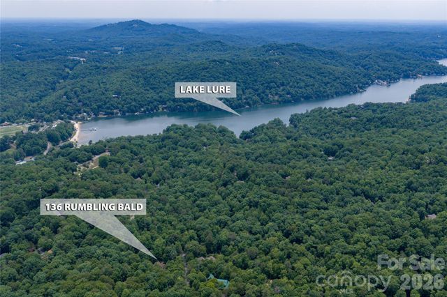 136 Rumbling Bald Road, Lake Lure, NC 28746