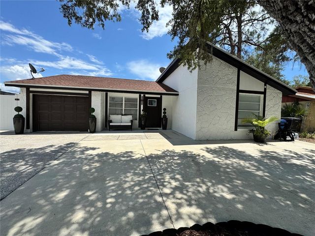 10114 BRIARWICK COURT, Tampa, FL 33615