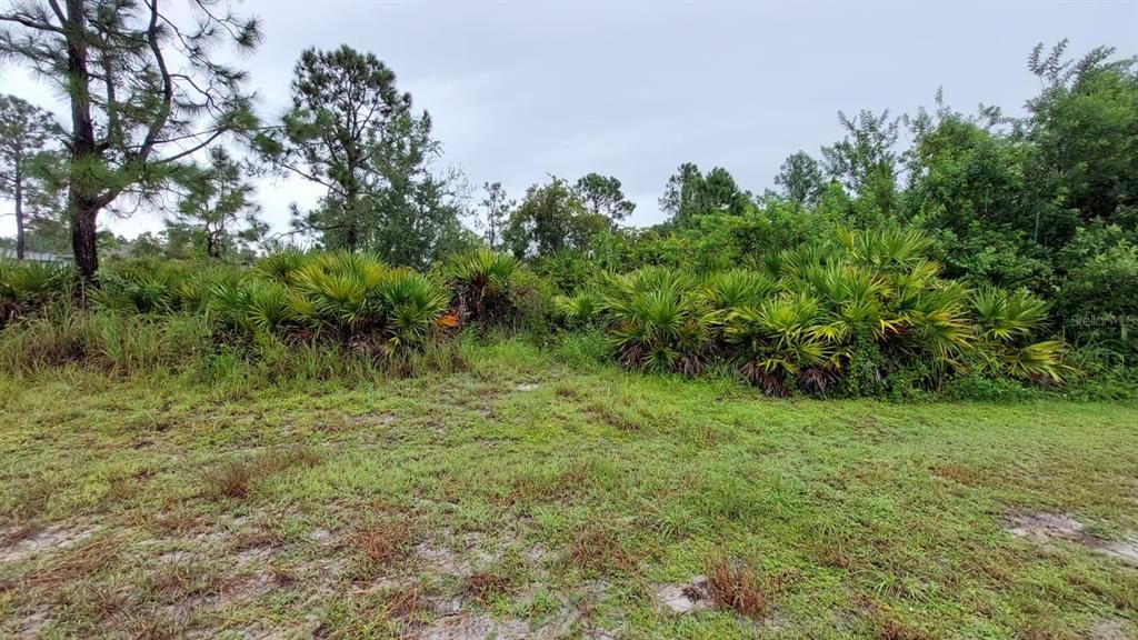 1153 DUTCHESS STREET E, Lehigh Acres, FL 33974