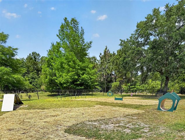14002 AVENUE OF THE GROVES, Winter Garden, FL 34787