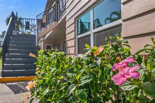 216 36TH AVENUE N 202B, St Petersburg, FL 33704