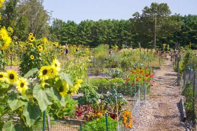 3 Brewster Road, Tuftonboro, NH 03816