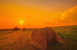 1007 Bypass North Highway, Lawrenceburg, KY 40342