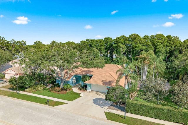 3930 TARIAN COURT, Palm Harbor, FL 34684