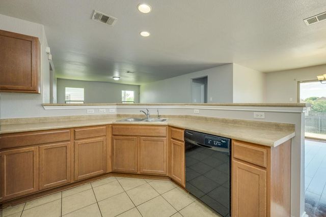 210 Cushman DR, Kyle, TX 78640