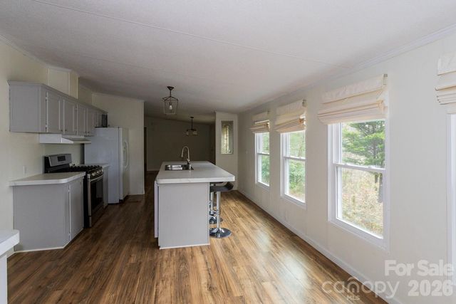 10 Savannah Circle, Leicester, NC 28748