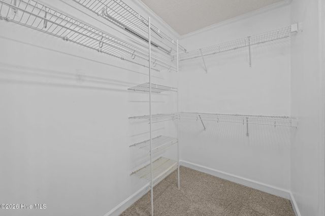 7103 Brigantine Boulevard, Oriental, NC 28571