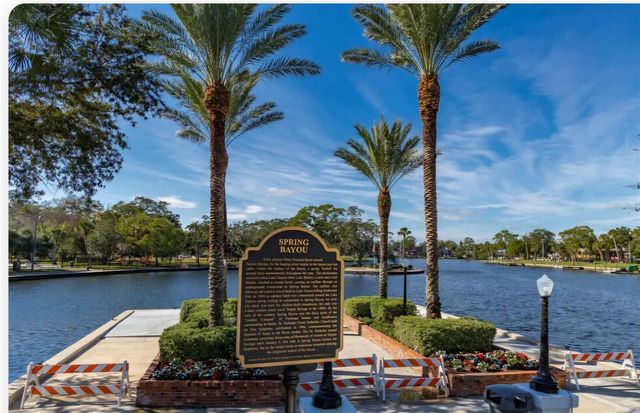 1092 N FLORIDA AVENUE, Tarpon Springs, FL 34689