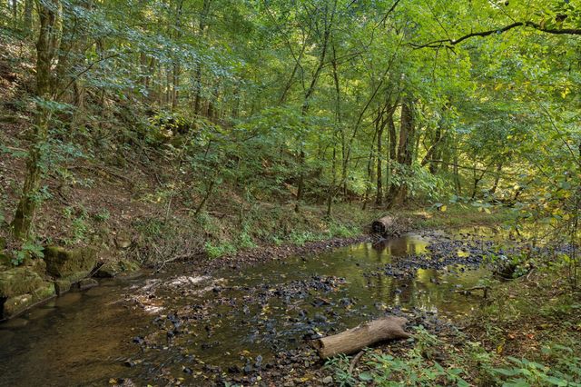 467 Gip Manning Rd, Clarksville, TN 37042
