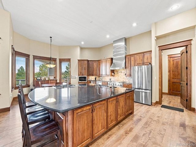 9753 Falcon Roost Pt, Parker, CO 80138