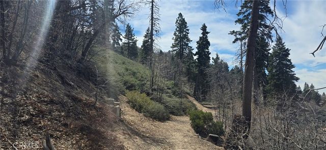 0 San Antonio Drive, Green Valley Lake, CA 92341