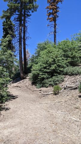 0 San Antonio Drive, Green Valley Lake, CA 92341