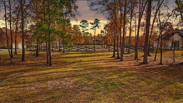 19474 Nasas Drive, Porter, TX 77365