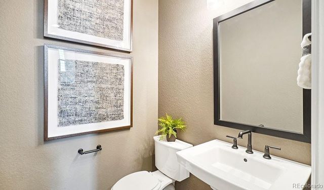 908 Steppe Lane, Windsor, CO 80550