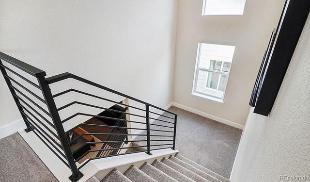 908 Steppe Lane, Windsor, CO 80550