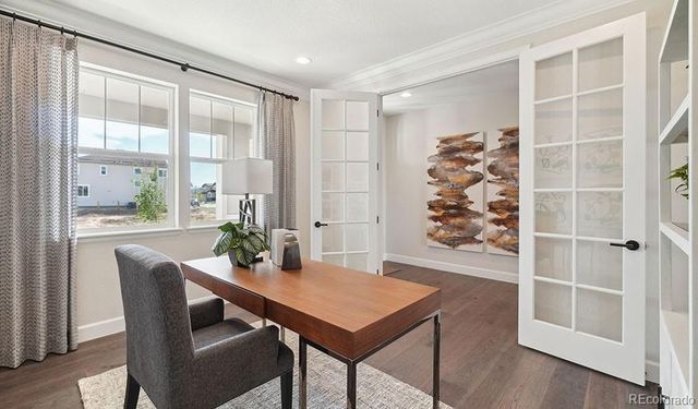 908 Steppe Lane, Windsor, CO 80550