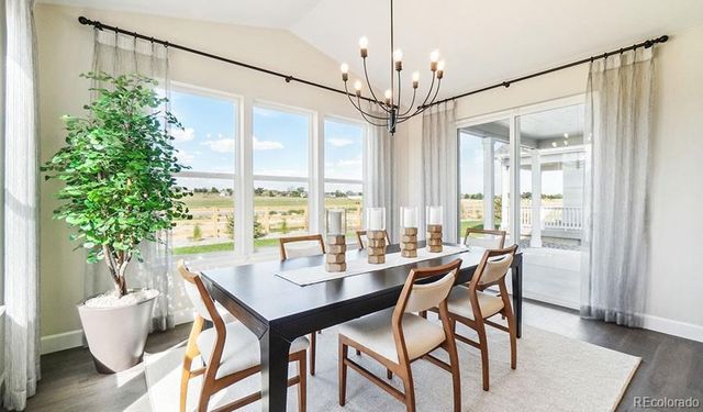 908 Steppe Lane, Windsor, CO 80550