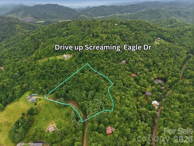220 Screaming Eagle Drive, Mars Hill, NC 28754