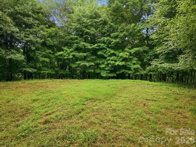 220 Screaming Eagle Drive, Mars Hill, NC 28754