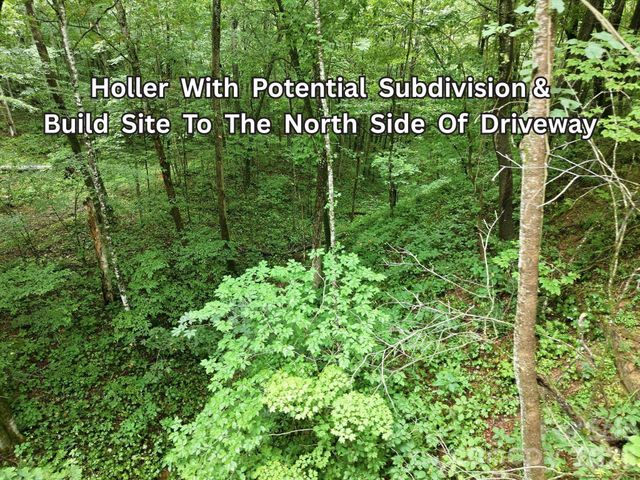 220 Screaming Eagle Drive, Mars Hill, NC 28754