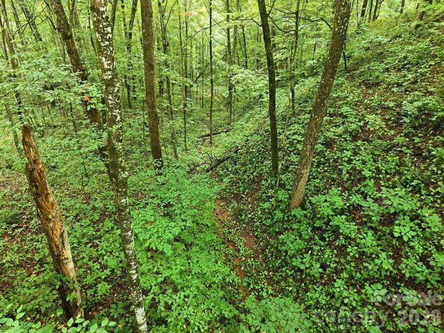 220 Screaming Eagle Drive, Mars Hill, NC 28754