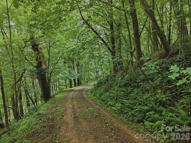 220 Screaming Eagle Drive, Mars Hill, NC 28754